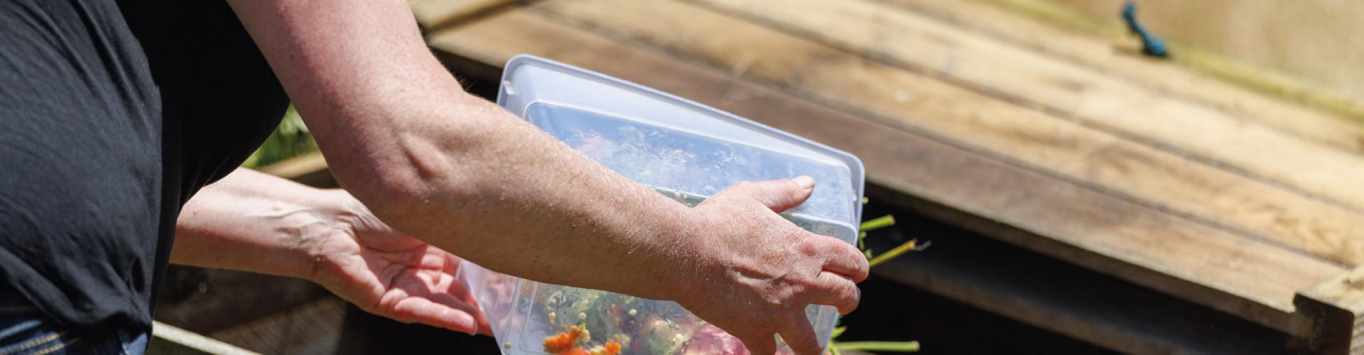 Photo d'une personne entrain de composter