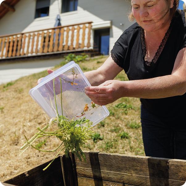 Une femme qui met des déchets vert dans un composte.